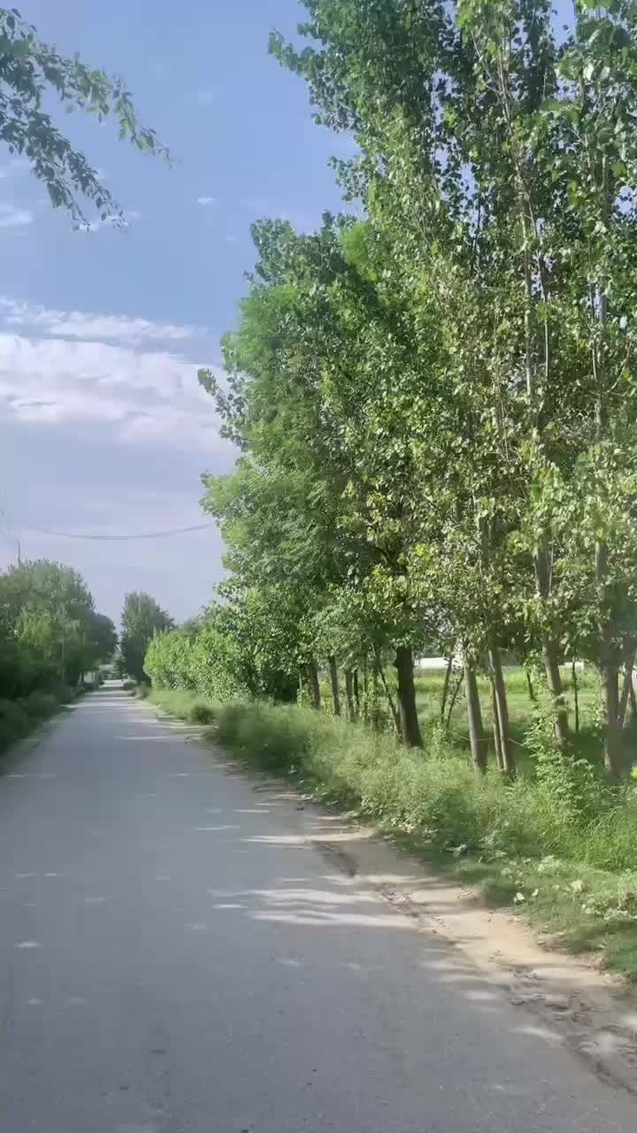 @MOHMAND