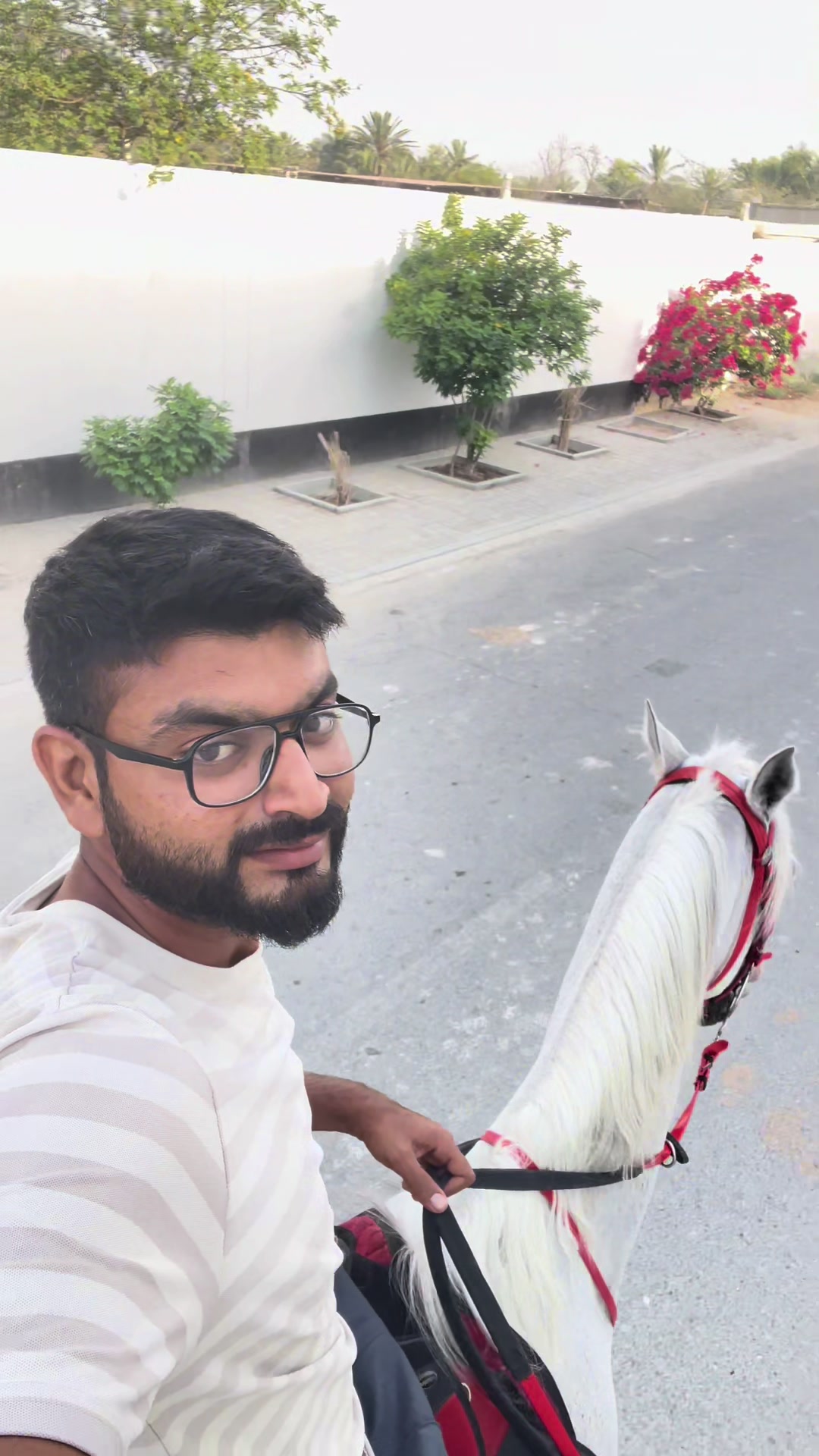 @Raja Ghayas Ahmed