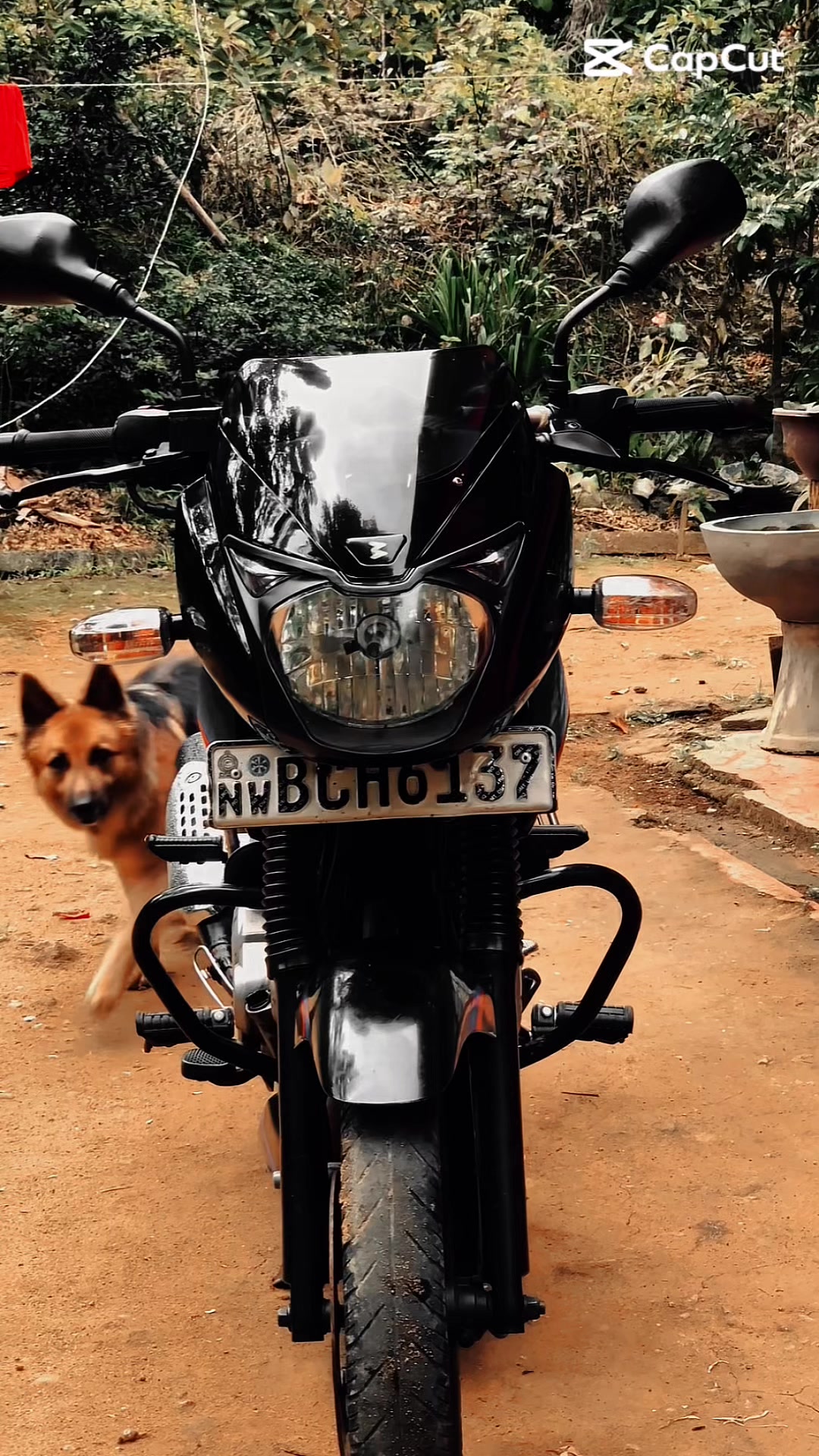 @කෙට්ටුවා 🫤