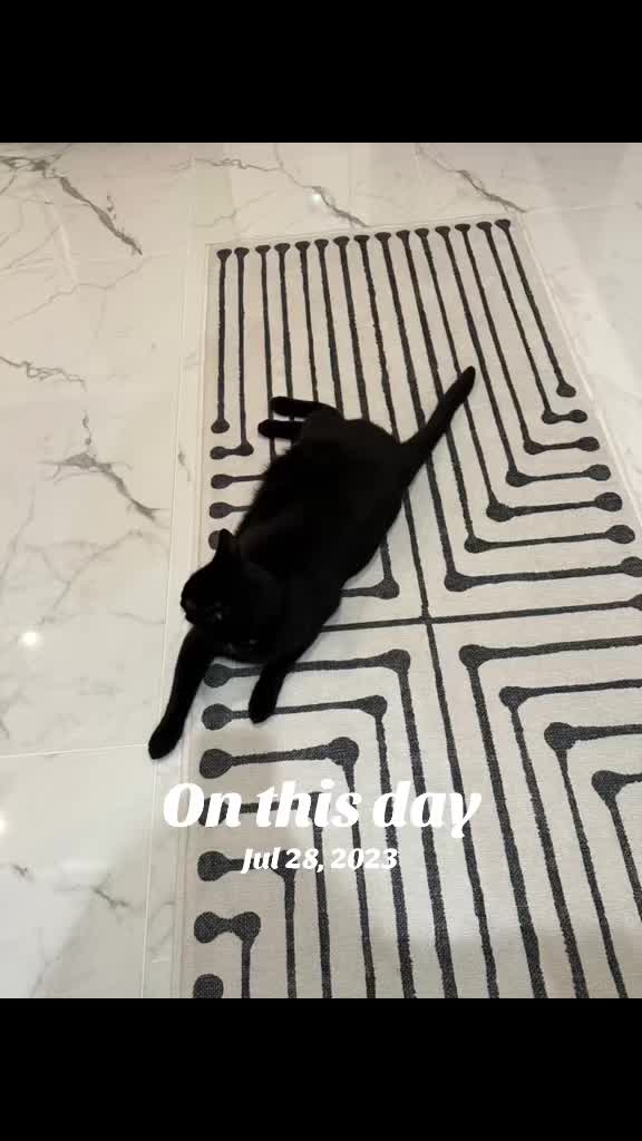 @Oscar Jeremy the cat!