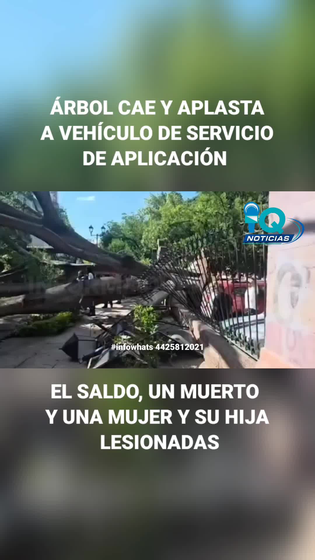@informequeretano