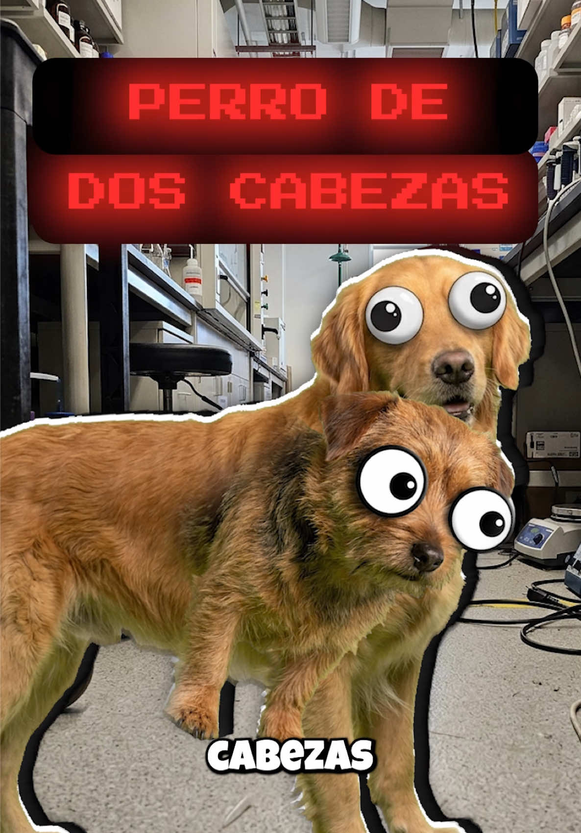 @GabSolf