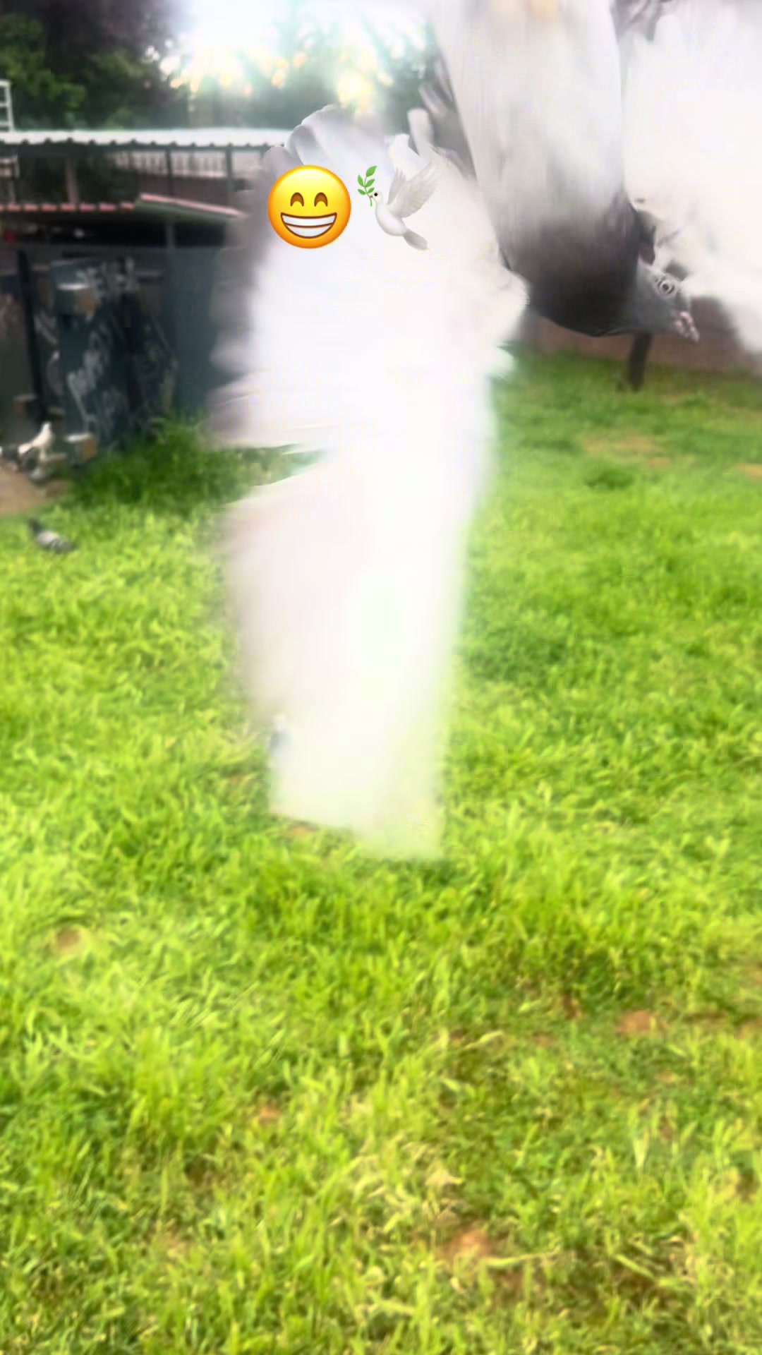 @Oyunkuşu06