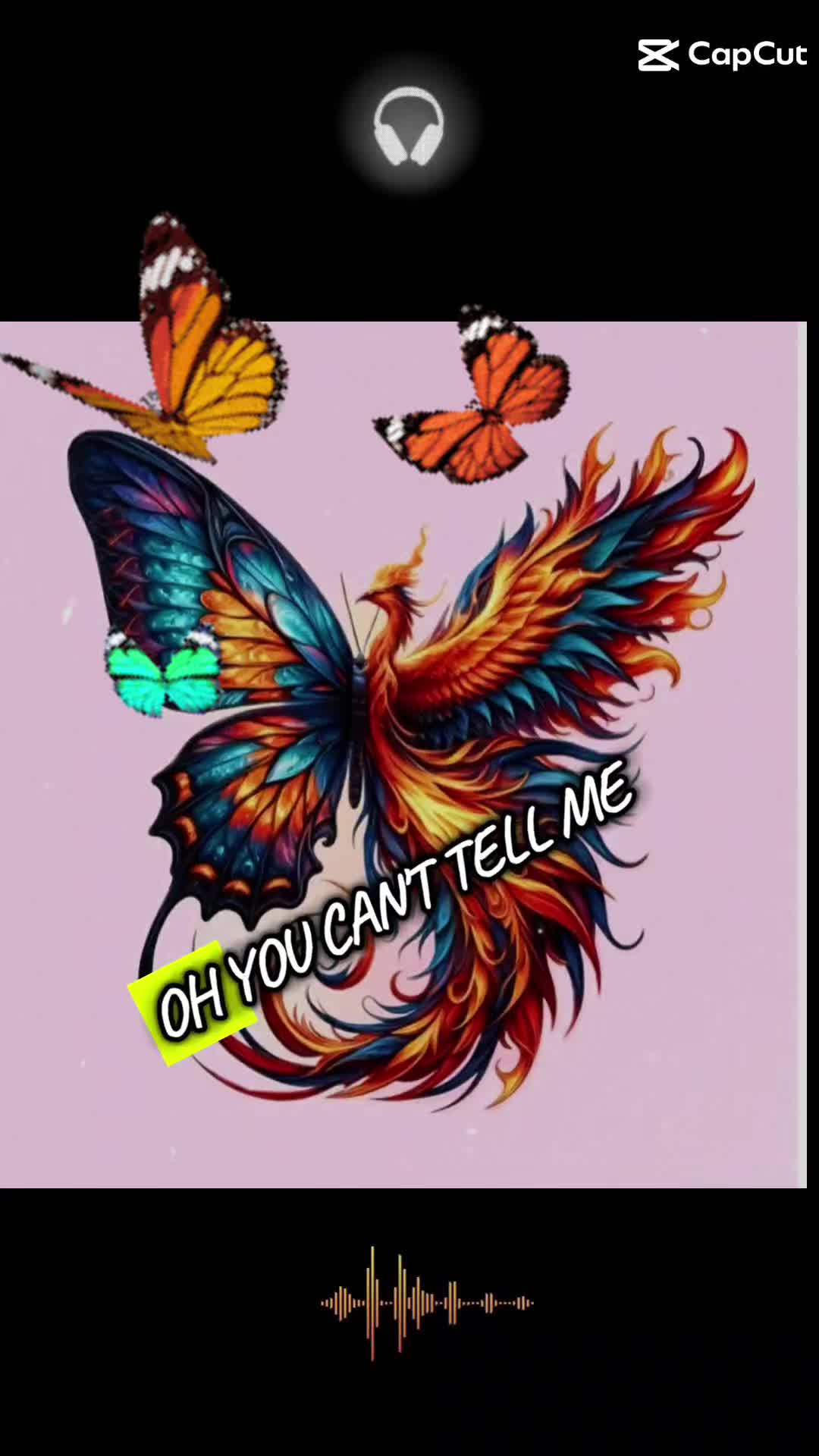 @🦁osiris "osi"🦋🧁🐬🎶🌅