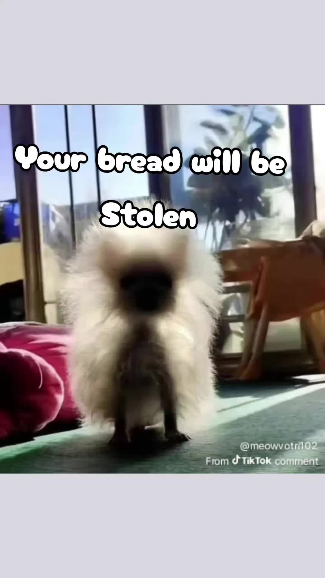 @Koda De Caffeinated