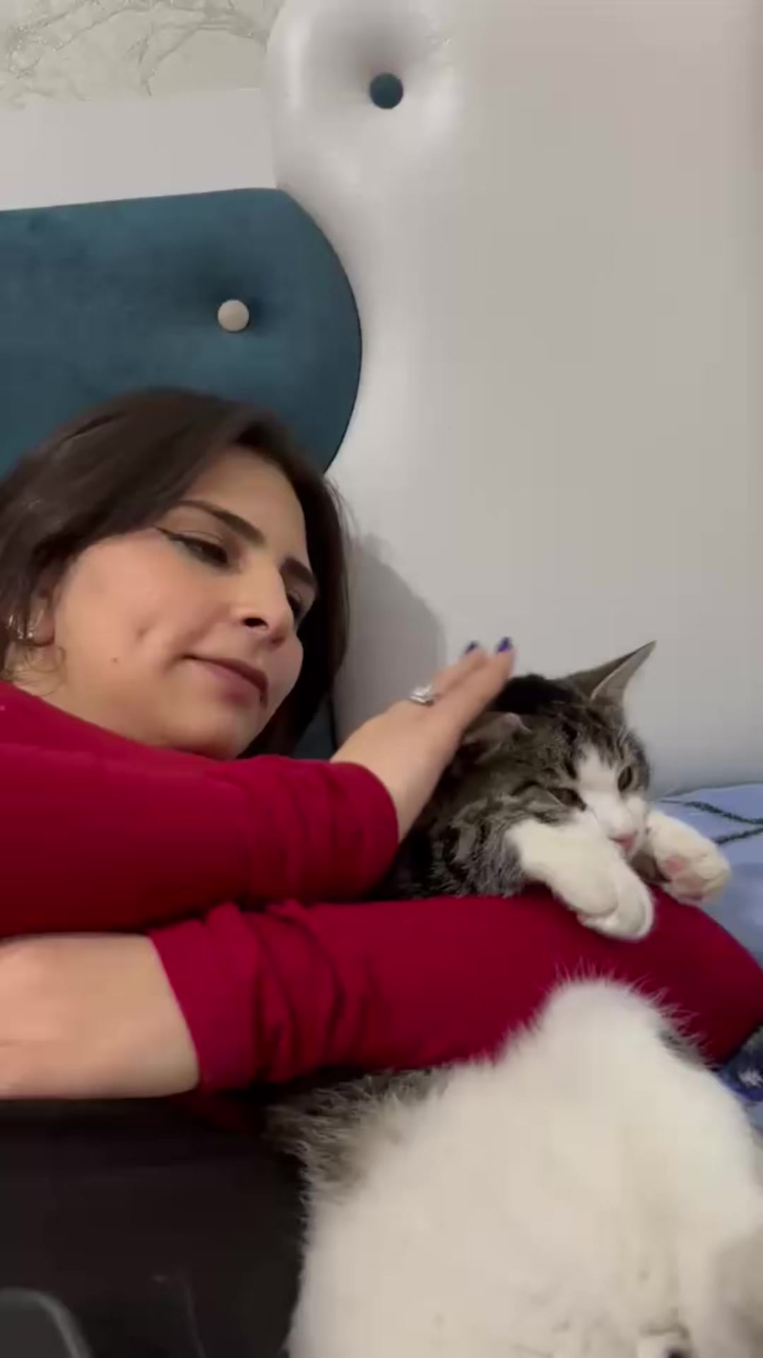 @❤️ᥫ᭡𝔉𝔞𝔱𝔦𝔪𝔞ᥫ᭡❤️