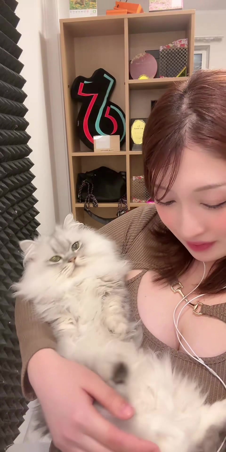 @神楽あや🐱🍺