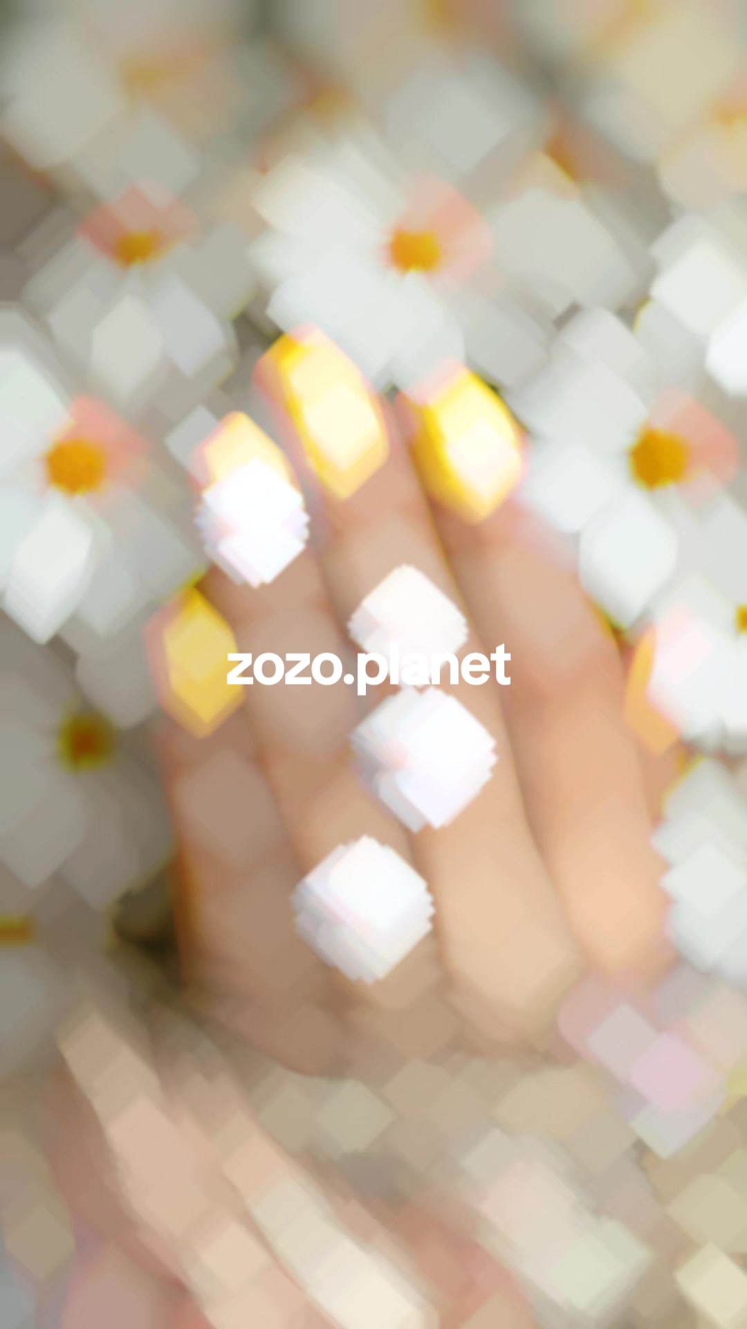 @zozo planet🐳 7oot.elarab🐳