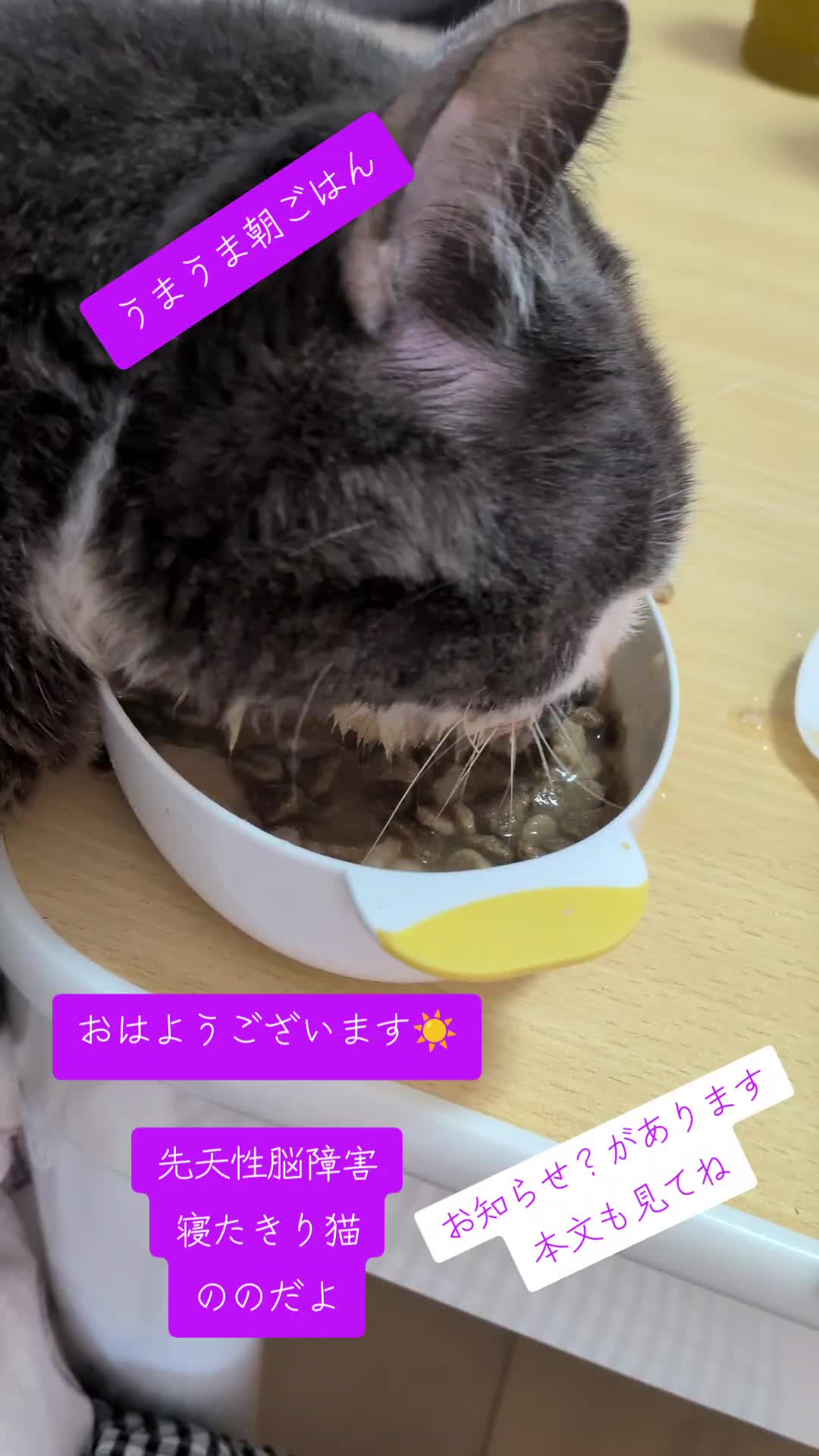 @てんきな
