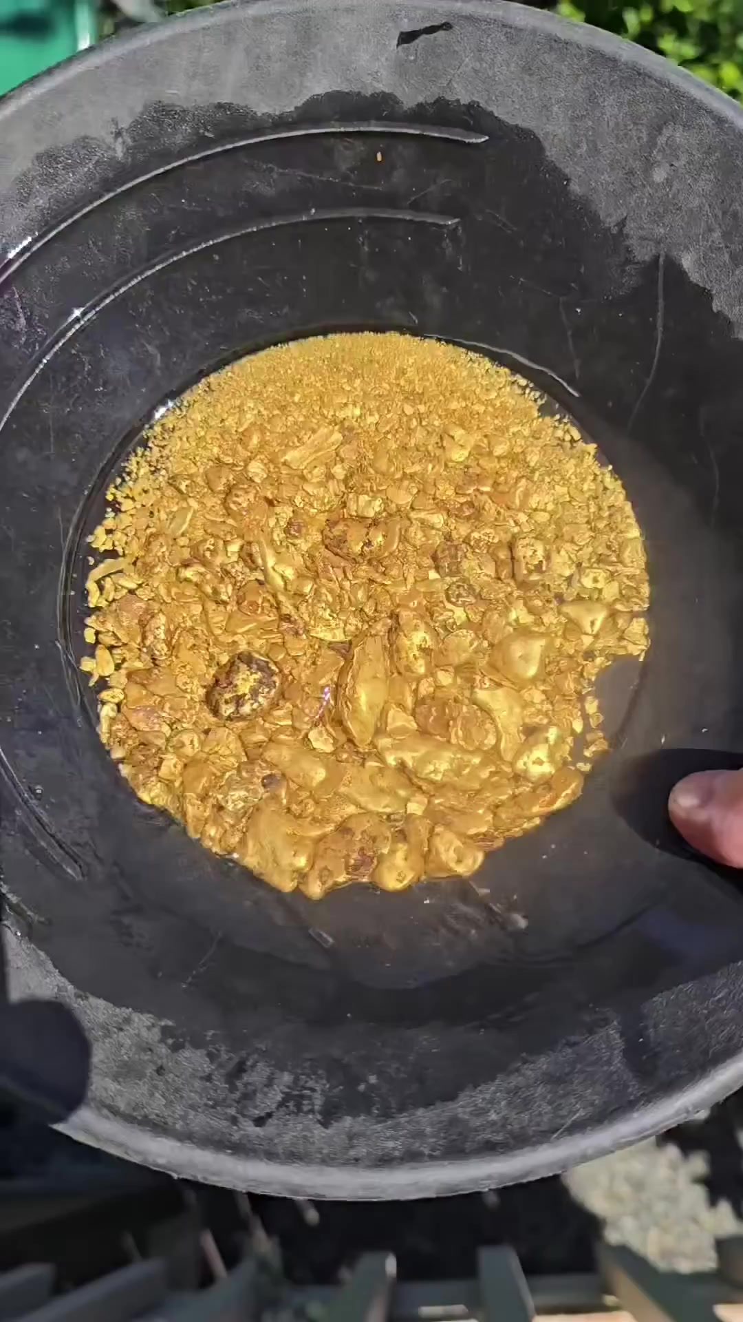 @Gold 22