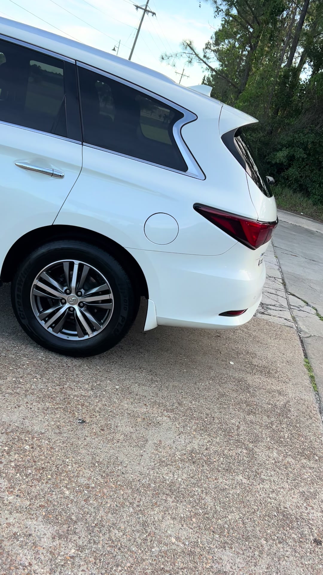 @Fly guy detailing