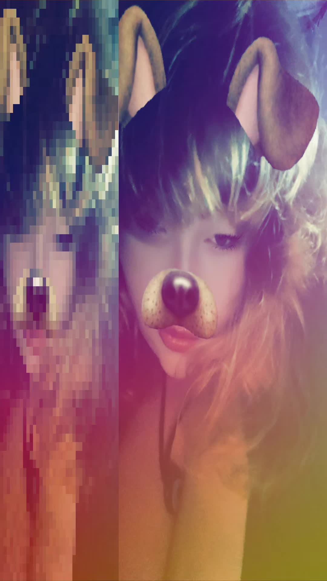 @🐶✨️chubby puppy!✨️🐶