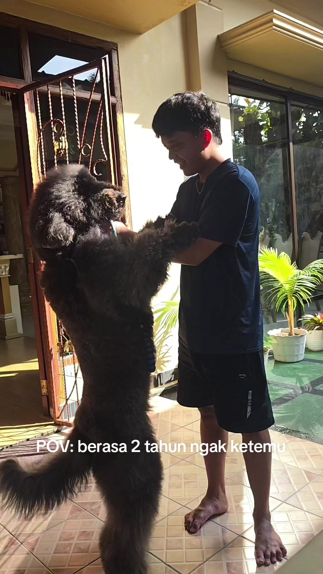 @MontyBardoKairosKingKaneBJ