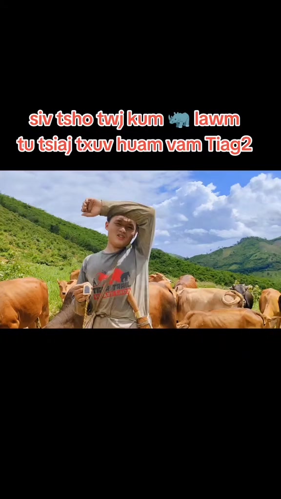 @nkauj see xyooj