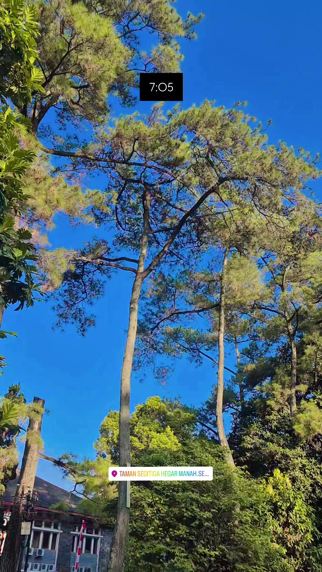 @TjutMevi
