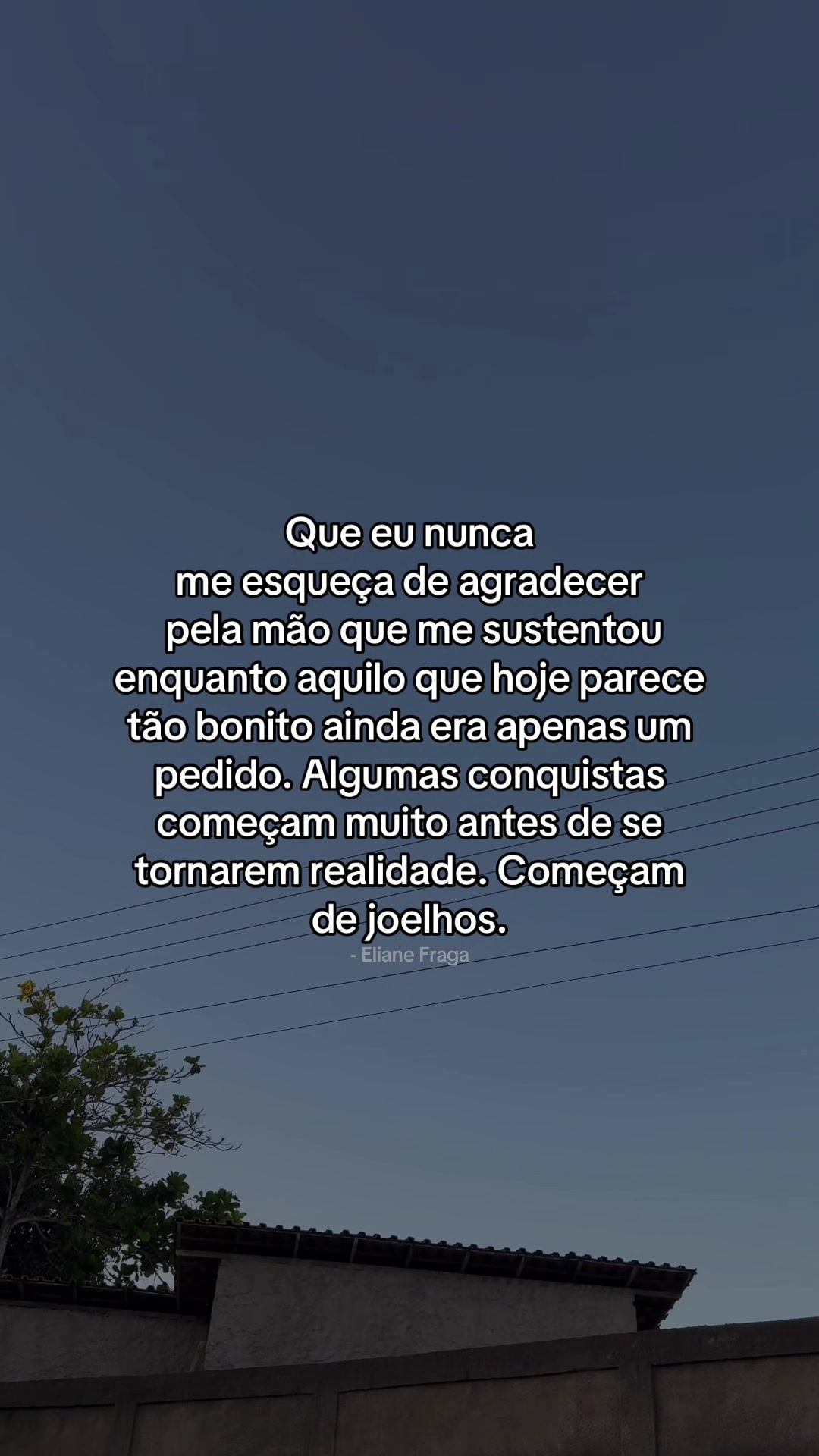@Eliane Fraga/Frases e Reflex&atilde;o