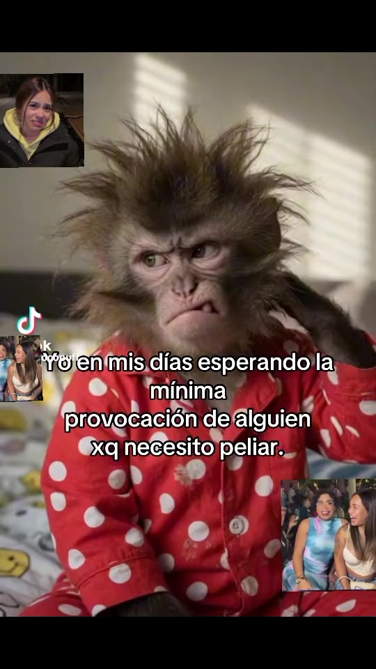 @Rokerita Garc&iacute;a Galv&aacute;n