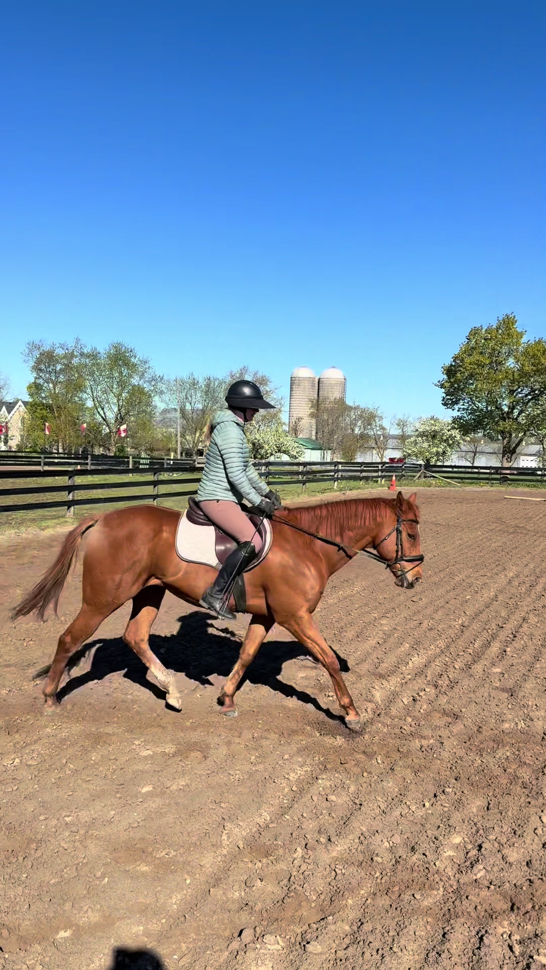@Karin - Empower Equine app