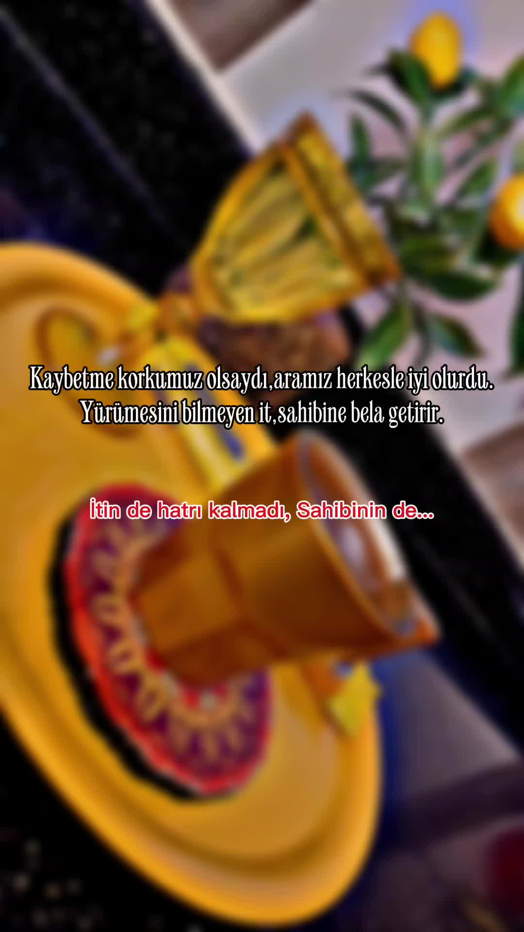 @Nazlıcanmahmut Durmu