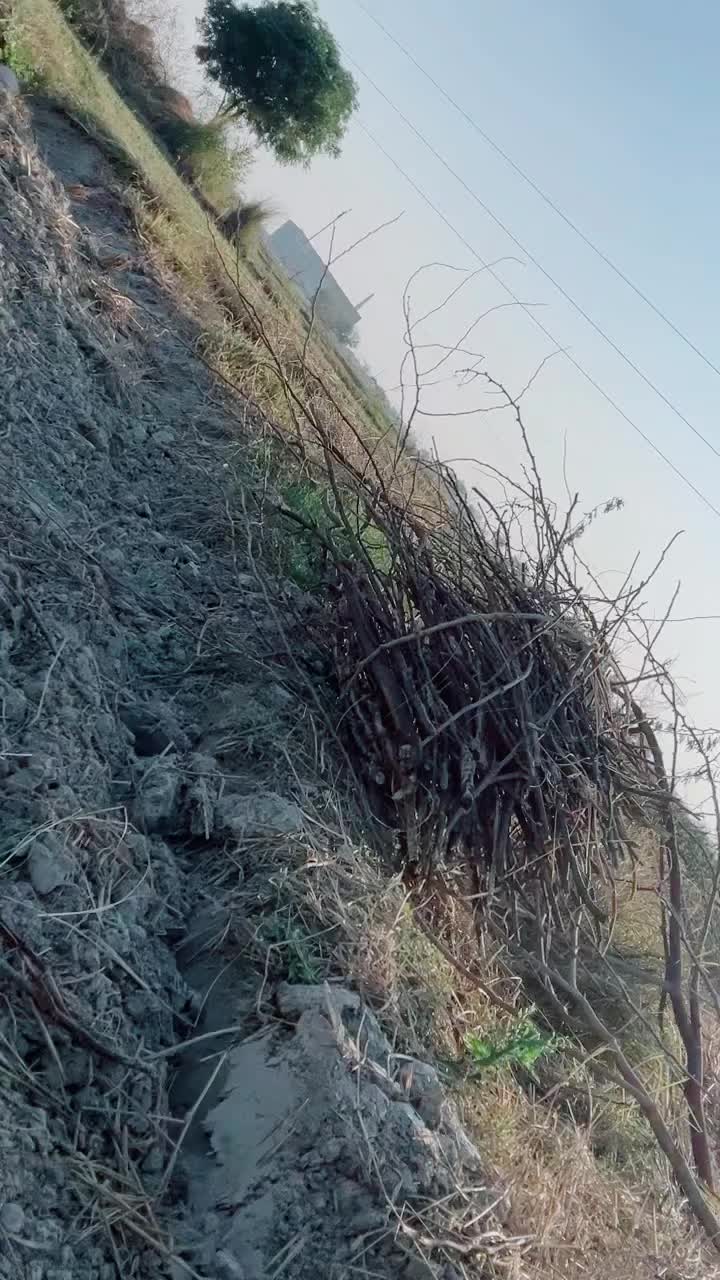 @Seema Kumari