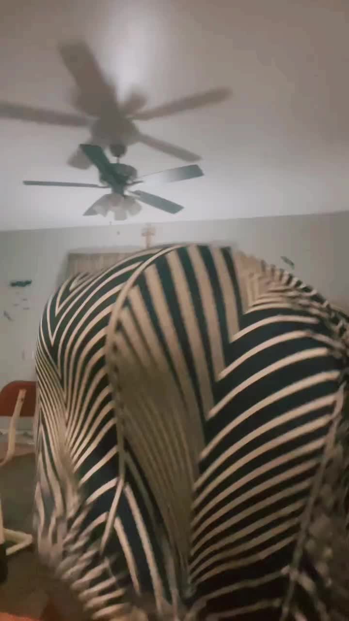 @yummycalifia