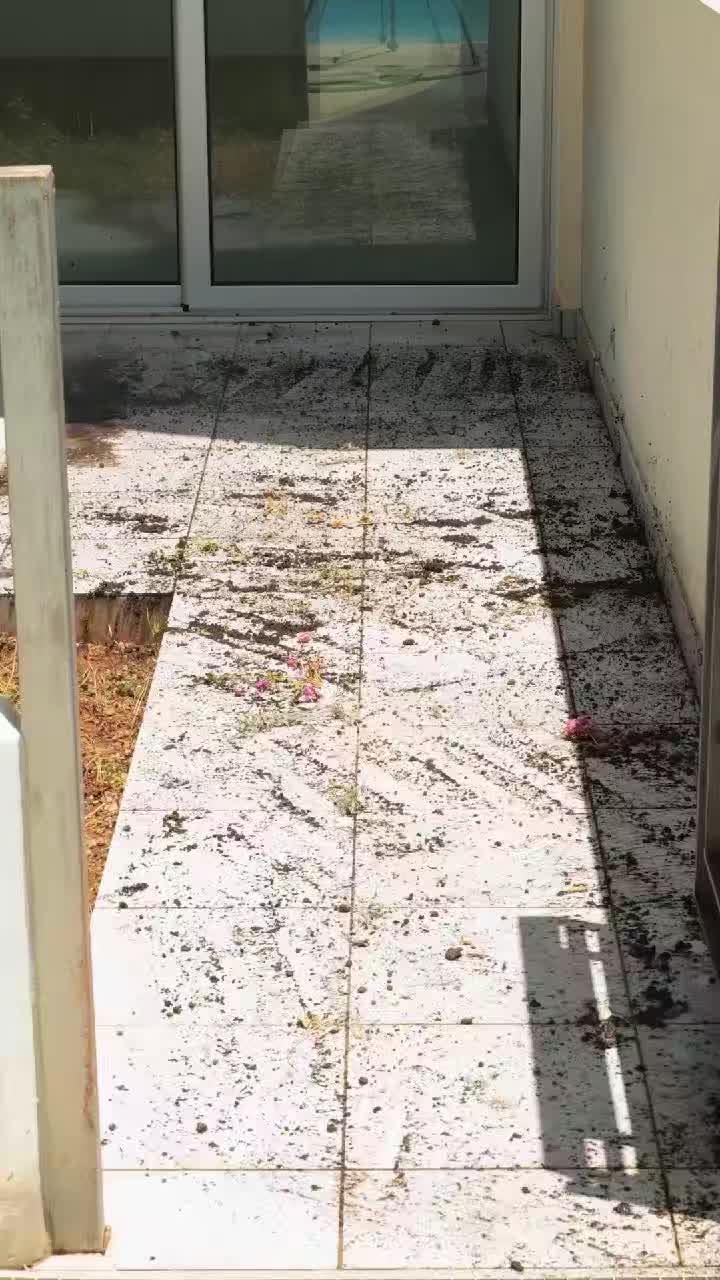 @5-Minute Decor