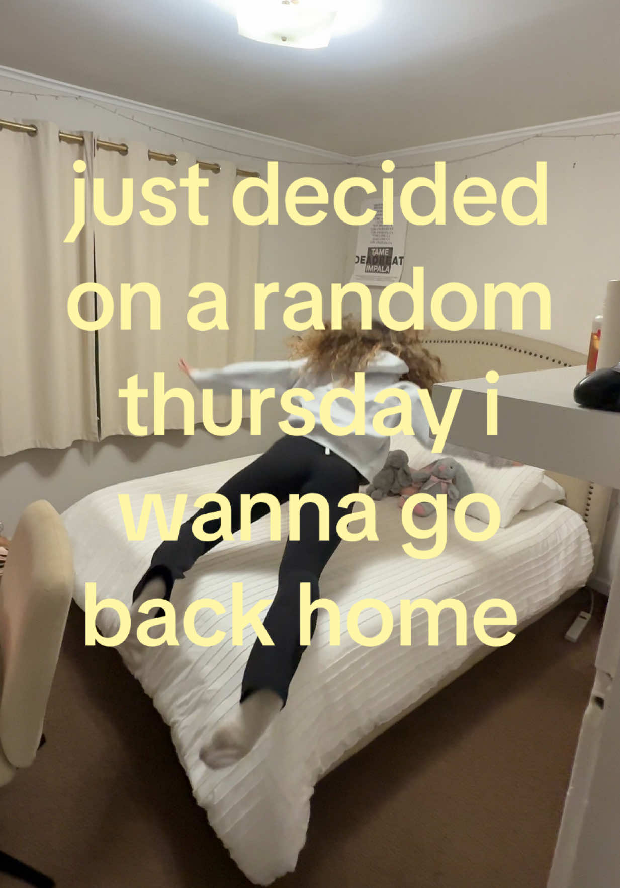 @FLAVIA