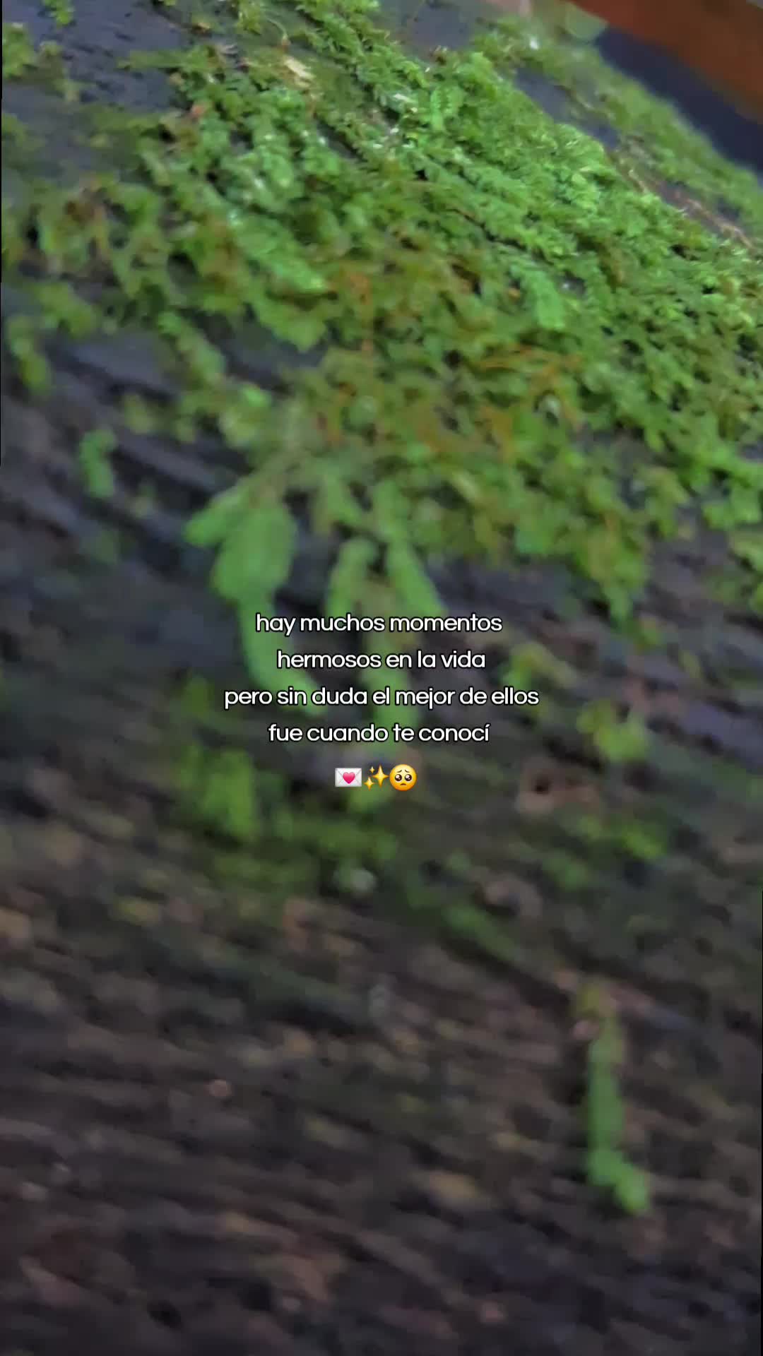 @🧔🏻♂️Leo,Gène👸🏻🦖