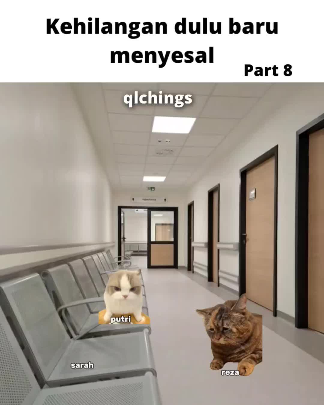 @qlchings