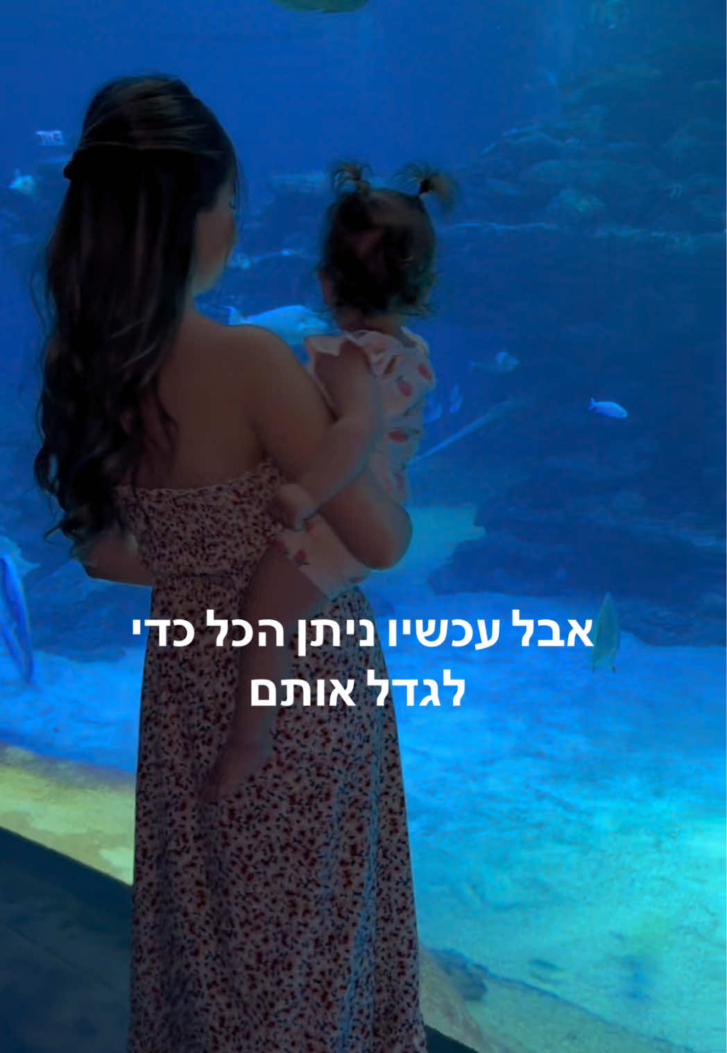 @Amit Sofer
