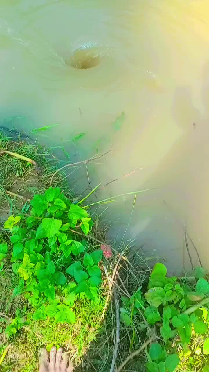 @Dhaneshwarkumar695N