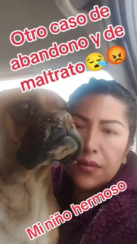 @Baneza Amparo Teran Quisbert