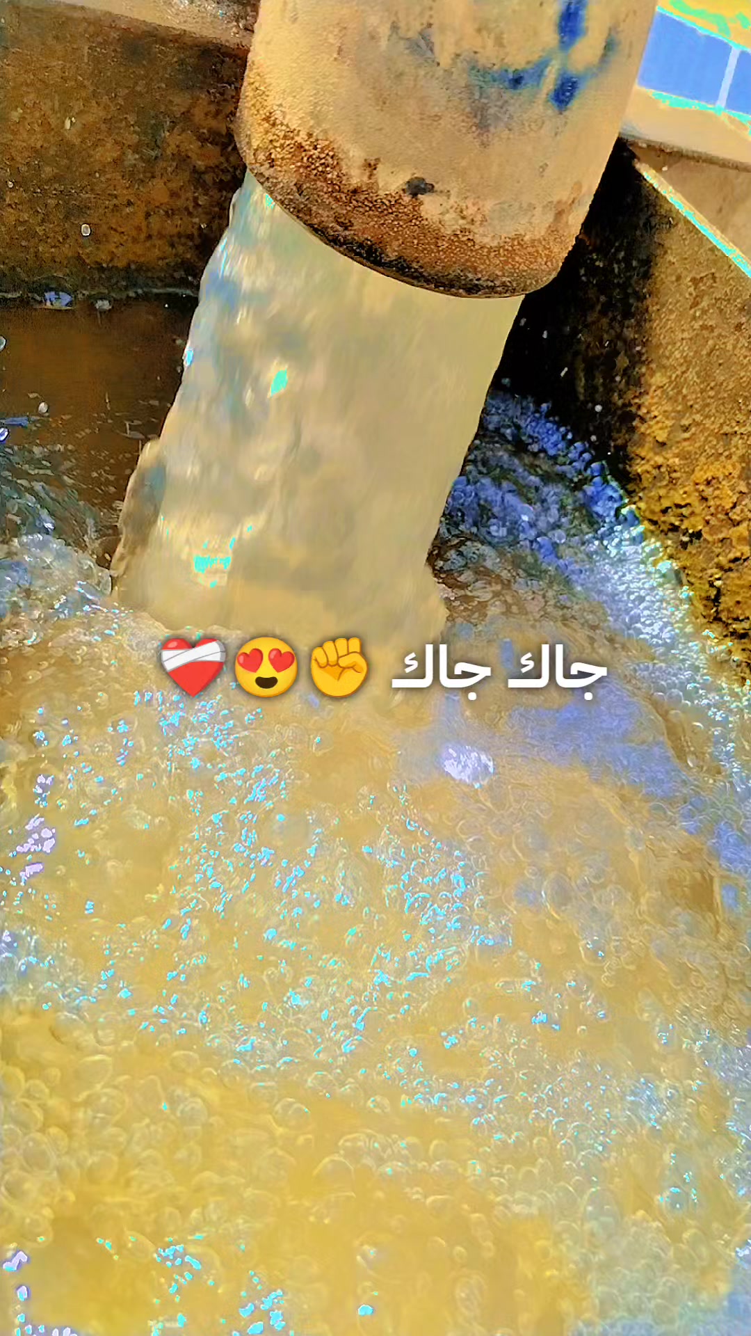 @كلو لي خير 👉