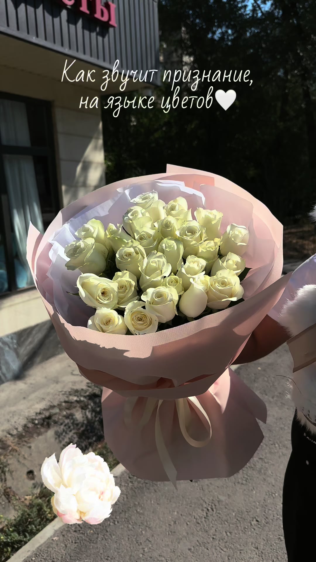 @БУКЕТЫ/ЦВЕТЫ/МИШКИ/БИШКЕК