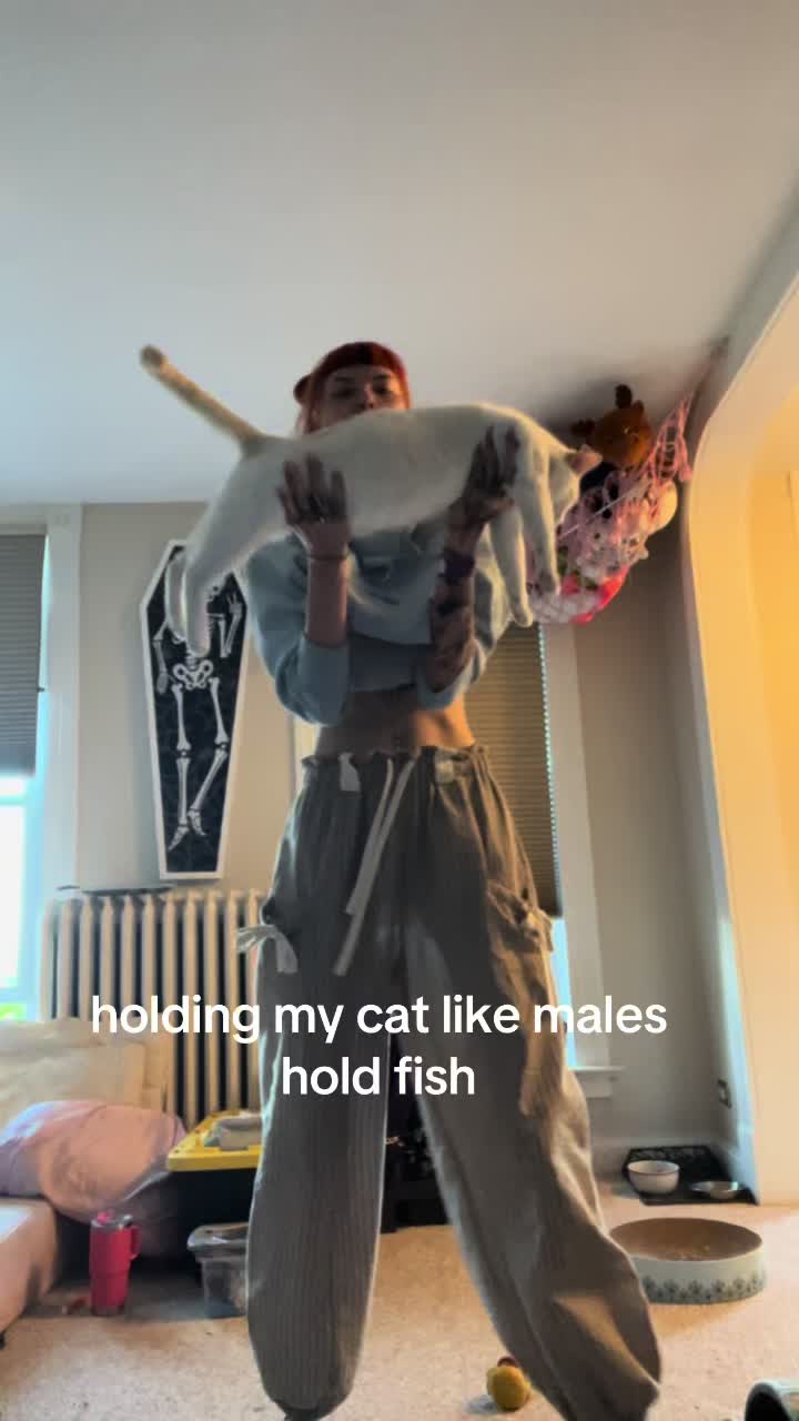 @dak🕷️