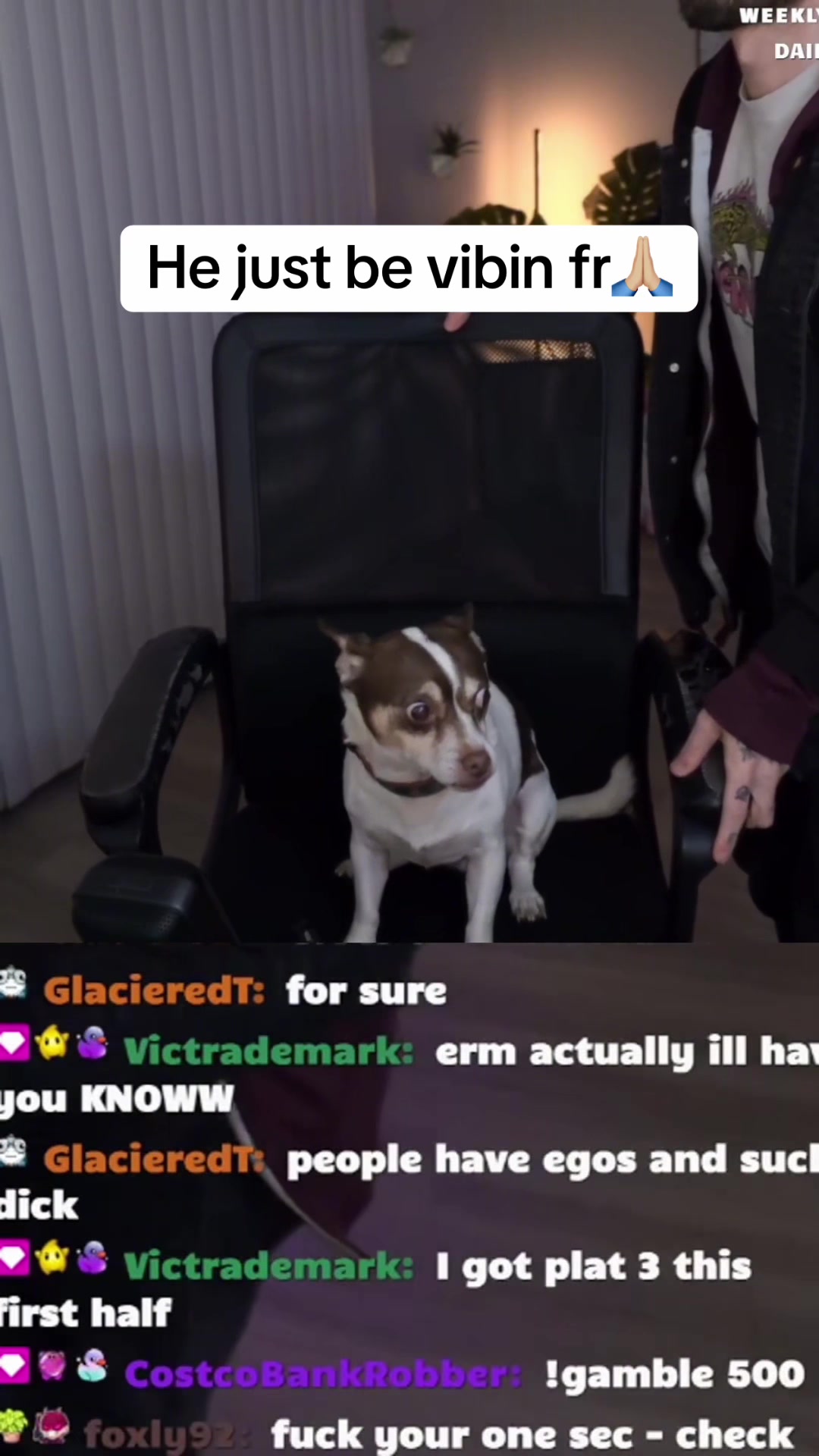 @Miinty
