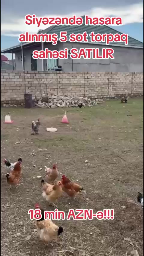 @Рамиль Исаев