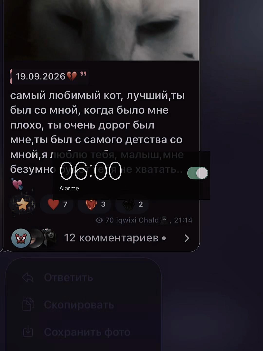 @дашуля🥷🏻