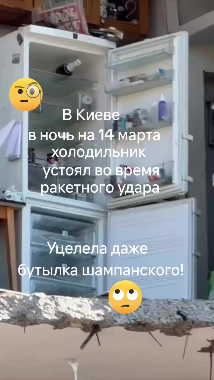 @haliina5