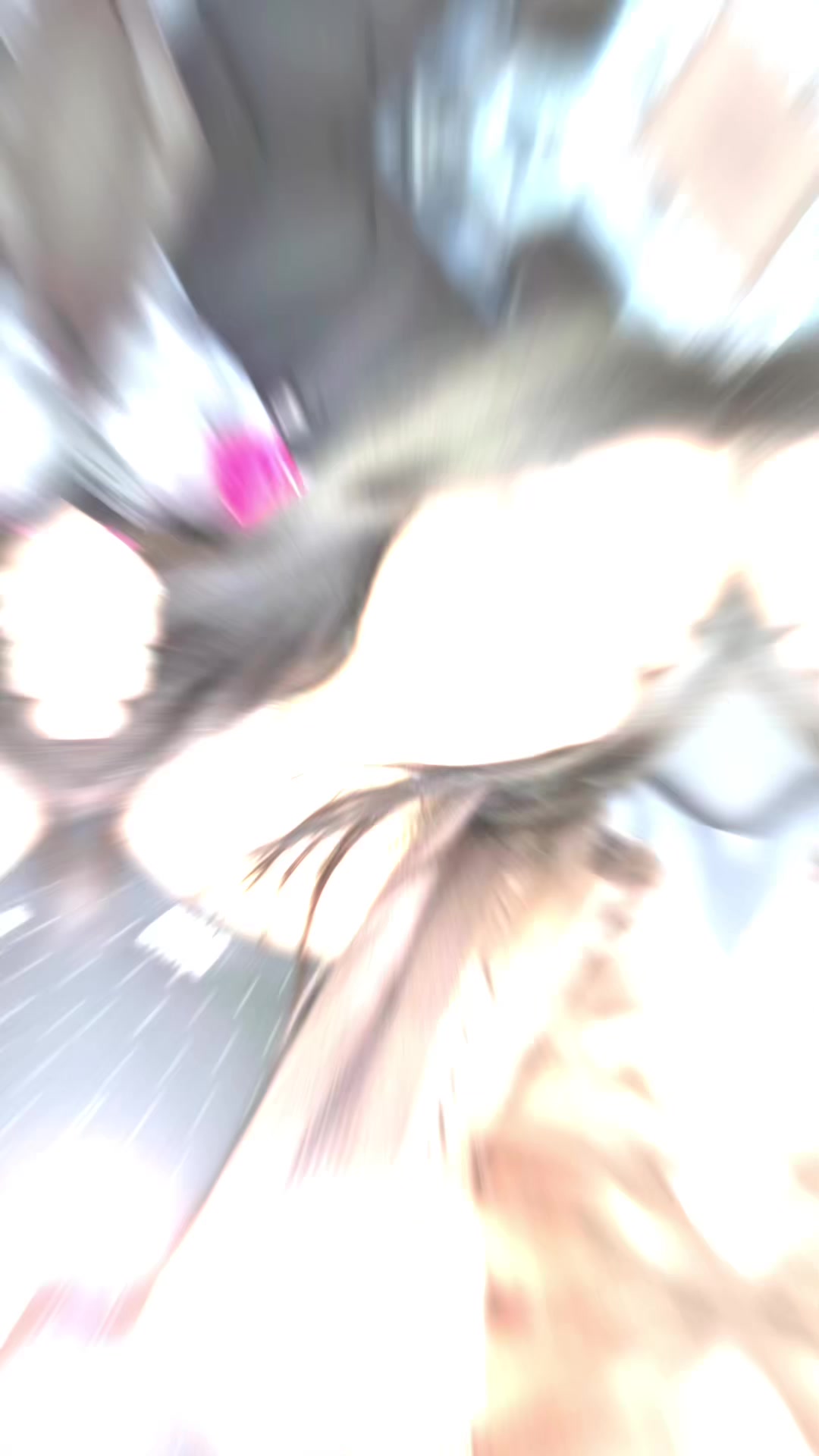 @tik tok