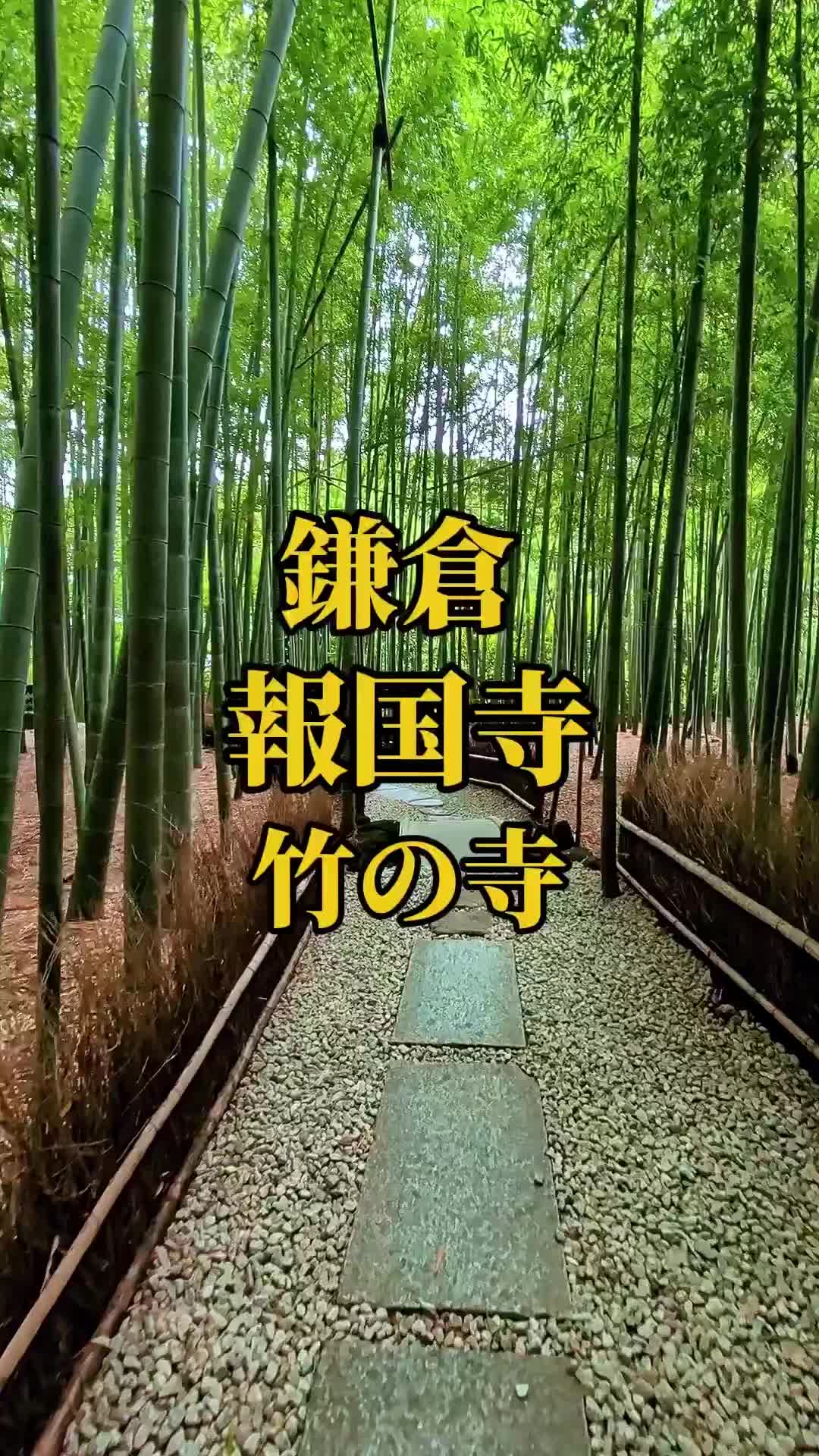 @🌸Shinomin🌸関東映えスポット巡り