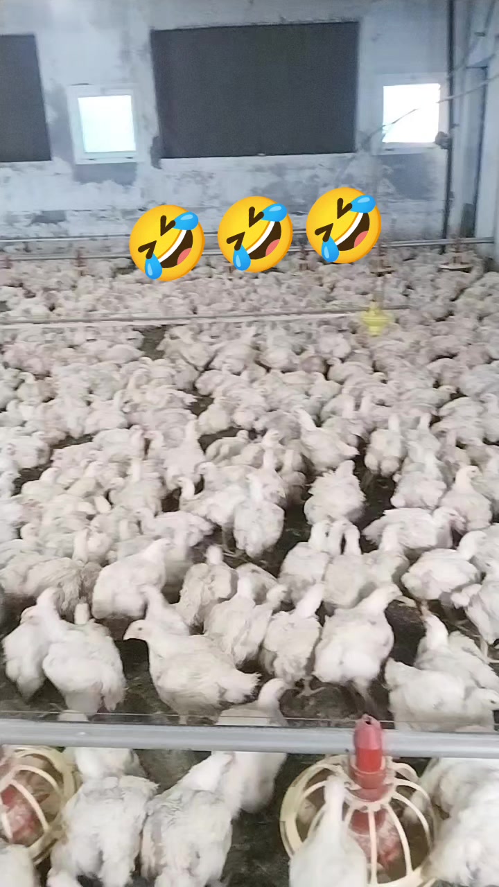 @01.. Adanalı 🥰