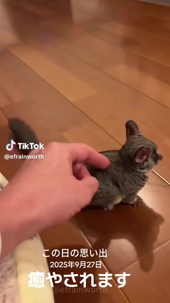 @ひろし❗️