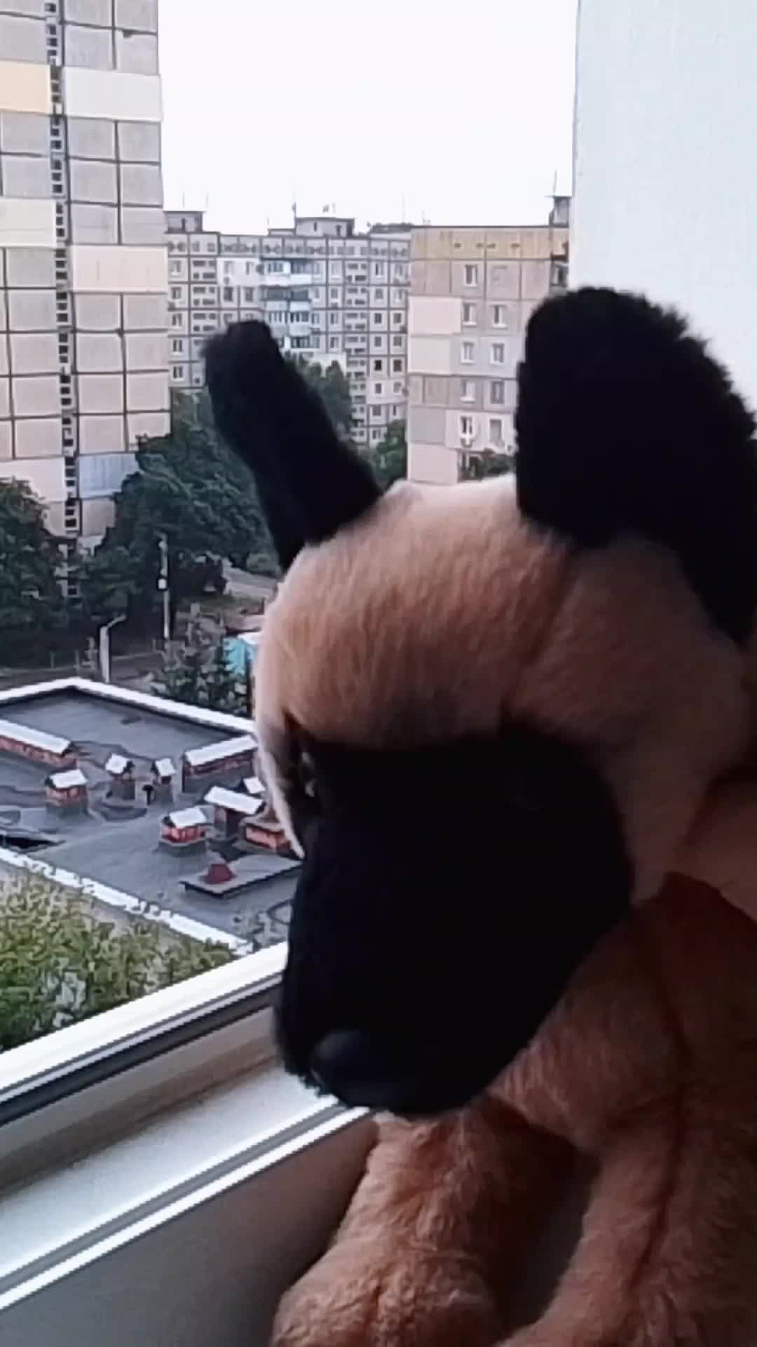 @꧁𝓒𝓵𝓸𝓿𝓮𝓻_𝓟𝓓𝓑~𝓔𝓢𝓢𝓐꧂