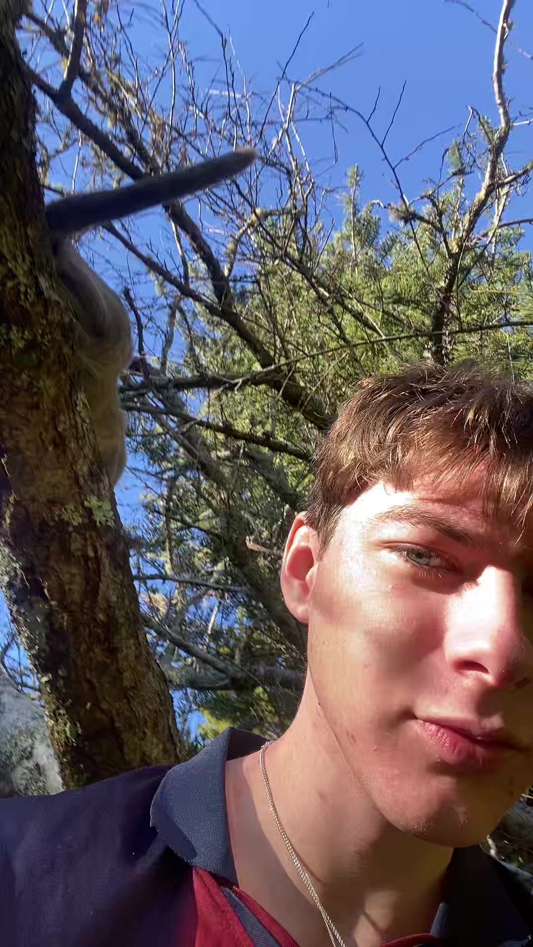 @imfullmontys🇳🇿