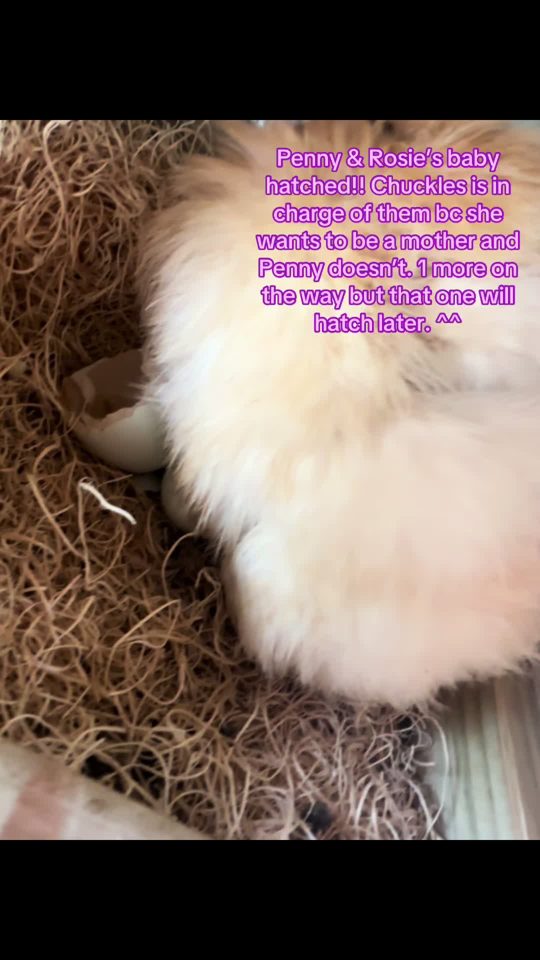@⚛︎⋆˙ᴋʏʟᴇ˙⋆𓃵