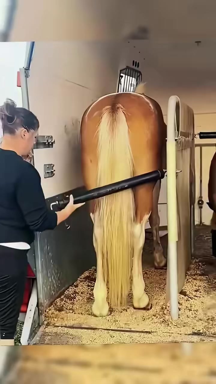 @狮城打工牛马