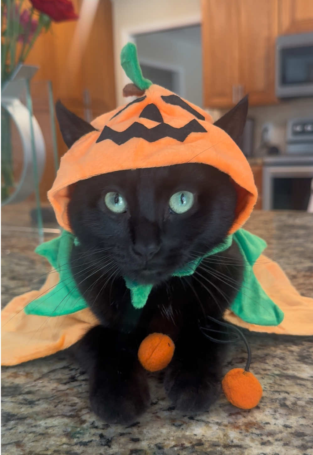 @Solhy