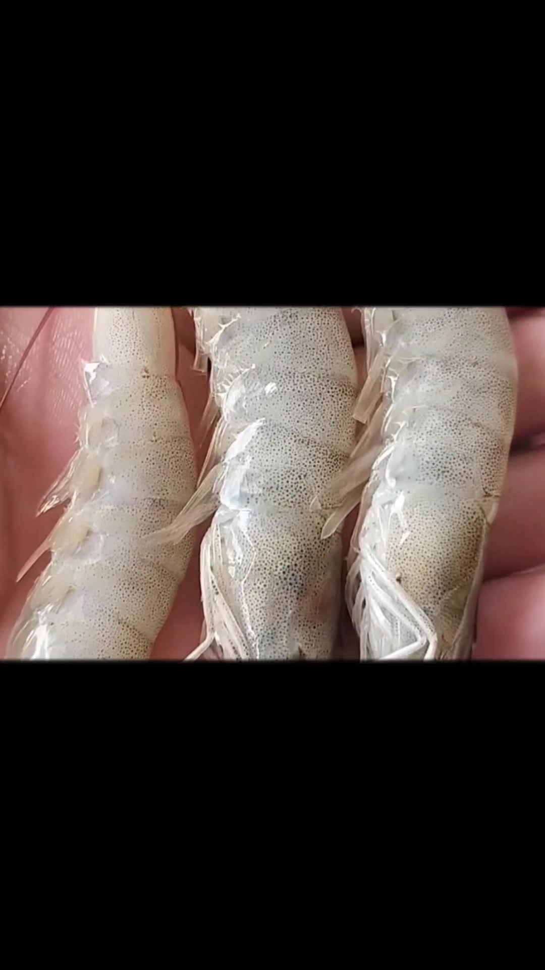 @Diegoalves2313