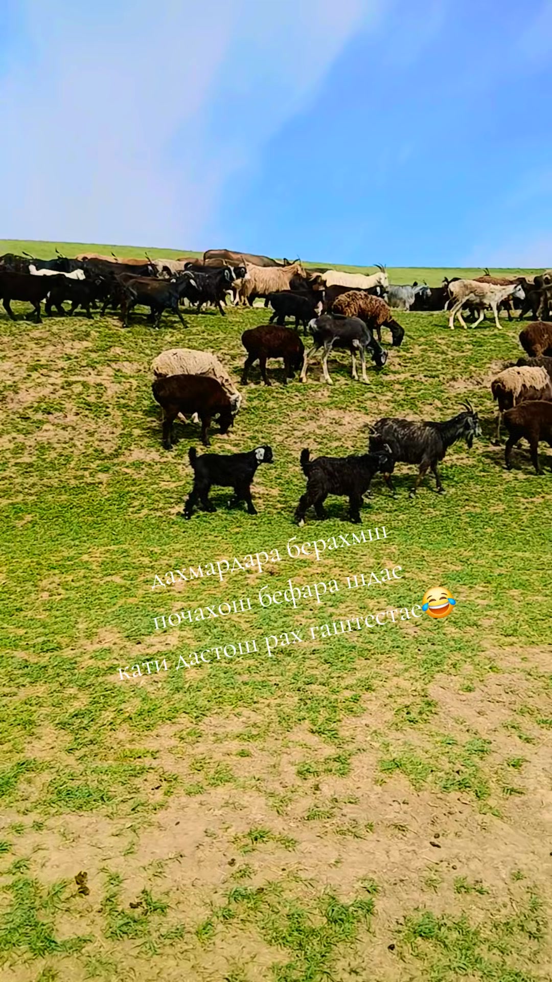 @U🇹🇯